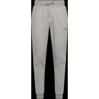 Björn Borg Sportbroek 'ESSENTIAL 1' lichtgrijs