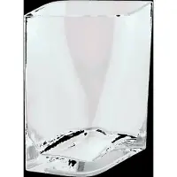 Blomus Vaas Duasis Clear S