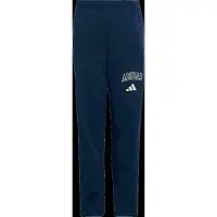 Adidas Seasonals Collegiate Typography Joggers
