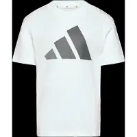 Adidas Functioneel shirt 'Essentials' grijs / wit