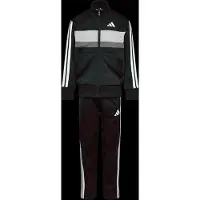 Adidas Trainingspak 'Seasonal Essentials Tiberio' grijs / zwart / wit