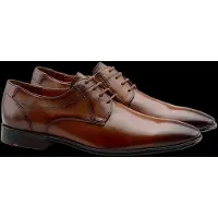 Lloyd Veterschoen 'Core 111' bruin