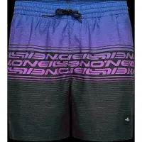 O'Neill - Logo Stripe 16'' Swimshorts - Zwembroek S, meerkleurig