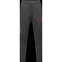 Puma Sportbroek 'Individual Liga' grijs / grafiet / donkergrijs