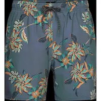 Rip Curl Sessions Zwembroek