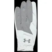 Under Armour Medal Golfhandschoenen, Staal (035)/Staal, Linkerhand Groot