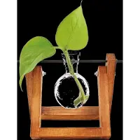 Winkee - Hydro Vases Lilly - Vase