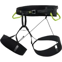 Arc'teryx - Lithos SL Harness - Klimgordel 5B, zwart