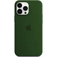 Apple iPhone 13 Pro Max Back Cover met MagSafe Klaver