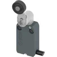 PIZZATO ELETTRICA NF B112KG-DN2 NF B112KG-DN2 Eindschakelaar 250 V/AC 4 A Zwenkbare rolhendel Moment IP67 1 stuk(s)