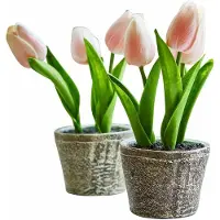 Loberon Siertulpen set van 2 Zéphine