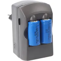 AccuCell CR123A 2-voudige lader inclusief 2 stuks Li-ionbatterijen CR123A, maar niet geschikt voor bewakingscamera's en grootverbruikers enz.