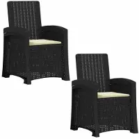 vidaXL Ligstoel Rieten Look 2 st Antraciet- en crèmekleurig PP