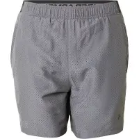 Under Armour Sportbroek 'Vanish 2.0' donkergrijs