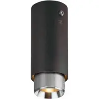 Buster + Punch - Exhaust Surface Spot Lineair Grafiet