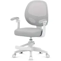 Adler Draaistoel Junior 3.1, grijs