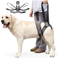 INF Outdoor Honden Achterpoot Ondersteuningsharnas - Mobiliteitshulp voor Gewonde & Oudere Honden XL