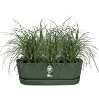 Elho Greenville Easy Balcony 52 - Balkonbak met Ophanging - 100% Gerecycled Plastic - L52 x B21.2 x H19.4 cm - Blad groen