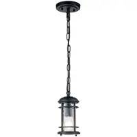 FEISS LED Buiten Hanglamp Lighthouse | 1X E27 Max 60W | IP44 | Dimbaar | Textured Black