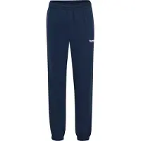 Hummel Sportbroek 'LEGACY 2.0' enziaan / wit