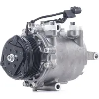 RIDEX 447K0421 Aircopomp