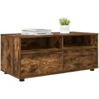 vidaXL TV Kast 100 x 48 x 43 cm Rook Eiken Bewerkt hout