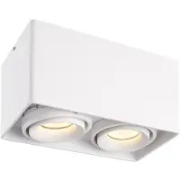 HOFTRONIC™ Dimbare LED opbouw plafondspot Esto Wit 2 lichts/dubbel IP20 kantelbaar excl. lichtbron