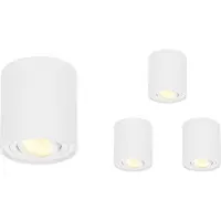 HOFTRONIC™ 4x Dimbare LED Opbouwspot/plafondspot plafond Ray Wit incl. GU10 spot 5W 2700K IP20 kantelbaar