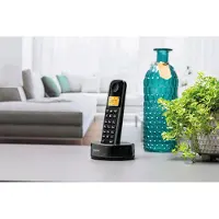 Philips Draadloze telefoon - D1651B/01 - DECT - Huistelefoon - Vaste Lijn - Nummerherkenning - Storingsvrij bereik - Zwart