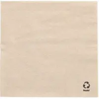Papstar 10x 500 Servetten 1-laags 1/4 vouw 33 cm x 33 cm natuur gemaakt van gerecycled papier