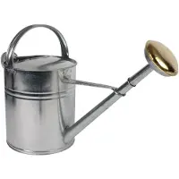 Talentools Gieter | | 10 liter (Broeskop, Metaal, Verzinkt)