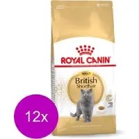 Royal Canin 12x Kattenvoer Droog British Shorthair Adult 400 gr
