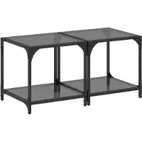 vidaXL Salontafels 2 st met zwart glazen blad 40x40x40 cm staal
