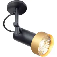 Trizo21 -2Thirty-C1 in Spot