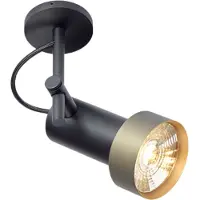 Trizo21 -2Thirty-C1 in Spot