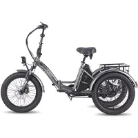 Fafrees F20 Mate Opvouwbaar Elektrisch Driewieler – 48V 20Ah Accu, 110km Bereik, 20"x3.0" Vetbanden, Hydraulische Remmen – Zwart