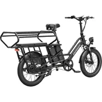 Fafrees 20 inch elektrische fiets met kinderzitjes – E-fiets – E-Bakfiets24Ah accu – maximaal 200kg draagvermogen – max 25km/u – tot 140km – voor gezinsuitjes en dagelijkse boodschappen –Zwart
