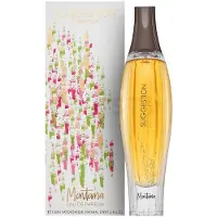 Montana Suggestion Eau De Parfum (edp) 100ml