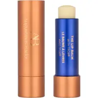 Augustinus Bader Gezicht De lippenbalsem 4 g