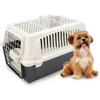 Markenlos Transportbox voor katten en kleine honden tot 8 kg, met een open dak en een kussen