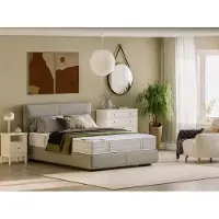 Vente-unique Matras 160 x 200 cm pocketveren 5 zones traagschuim en anti-bedwantsen tijk dikte 24 cm - VIREVO van NATUREA