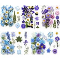 BOTC Natuurlijk Gedroogde Bloemen - Droogbloemen - Set van 5 stuks - Voor Resin Art, Sieraden,en DIY Decoratie