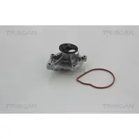 TRISCAN 8600 10032 Waterpomp