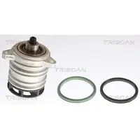 TRISCAN 8600 29042 Waterpomp