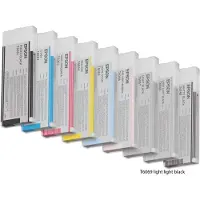 Epson C13T606940 Inktcartridge Licht licht-zwart