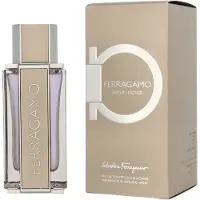 Ferragamo Bright Leather Eau de Toilette 100 ml