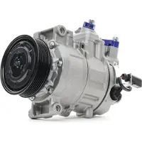 RIDEX 447K0079 Aircopomp