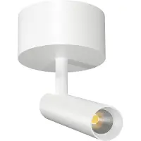 Beneito Faure Alp Verstelbare en Draaibare Oppervlakte Spotlight White | 2700 K