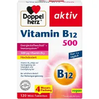 Queisser Pharma & Co. KG Doppelherz Vitamine B12 500, 120 tabletten