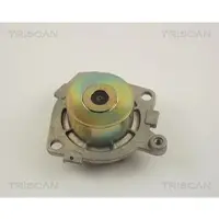TRISCAN 8600 15120 Waterpomp